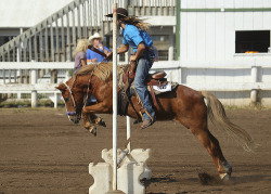 horsesandartforyou:  western-horse:  this event is called Hurry Scurry…the better the horse, the less they actually jump over it. they’re supposed to stay as low as they can and pretty much run over the jump. as you can see, it’s incredibly short.