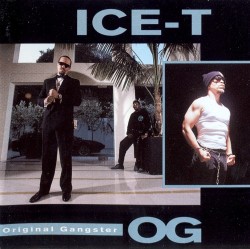 BACK IN THE DAY |5/14/991| Ice-T releases