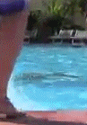 gaskartln:  dan is a fucking merman 
