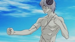 otaku-project:  06 photos of Stein 