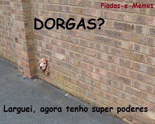 paraiso-do-riso:  (P&amp;M)