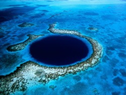 scienceyoucanlove:  The Great Blue Hole is