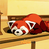 goudztv:  “Pabu’s not just a one trick poodle pony!” 