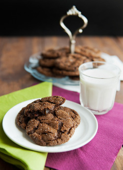 gastrogirl:  chocolate gingerbread cookies. 