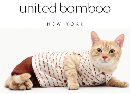 Calling all stylin’ cats! United Bamboo is casting for their 2013 calendar. Your little friend