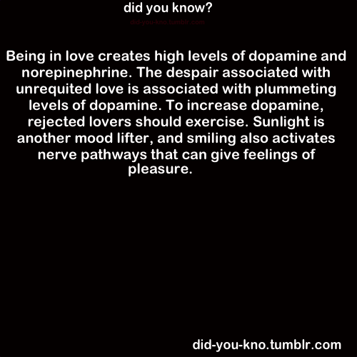 did-you-kno:  Source: 2004. Why We Love: The Nature and Chemistry of Romantic Love.