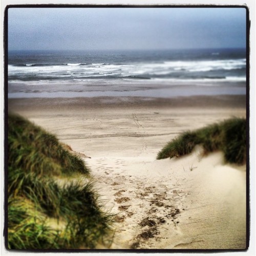#paradise #iwantogoback #hco (Taken With Instagram)