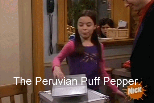 fallaney:   Drake & Josh - Season 3, episode 2iCarly - Season 3, episode 2 