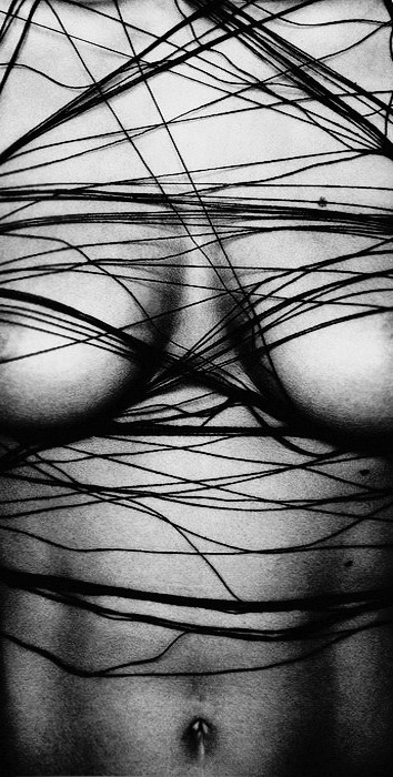 greyfaced:  body of evidence three, by  TiaDanko 