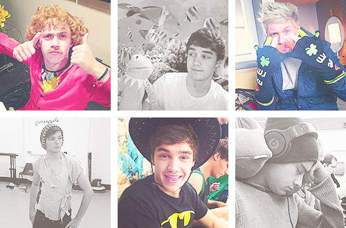 renwakers:  one direction twitter fun; brought to you by liam payne 