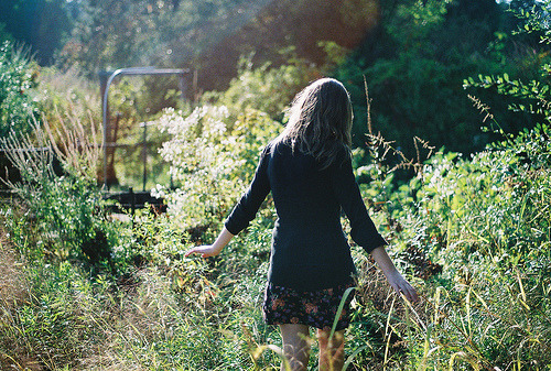 veranatura:  (by eleanor rask) 