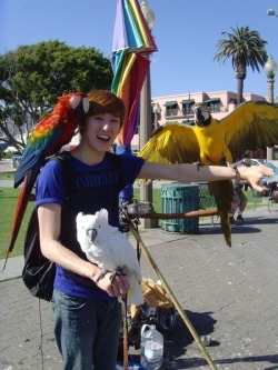 lifini:  Kevin and… parrots? O_O 