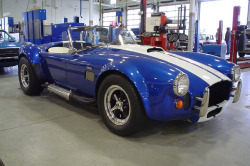 musclecardreaming:  Cobra