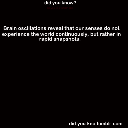 did-you-kno:  Source