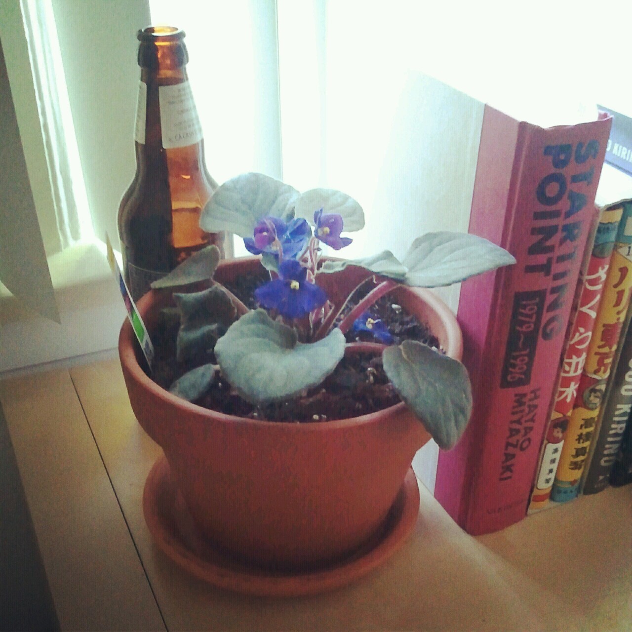 I&rsquo;ve been trying to pull my apartment together so I can feel a bit more
