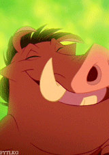  Favourite The Lion King Characters → 14. Pumbaa