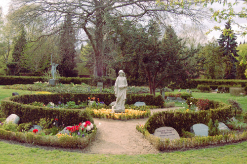 spring in Assistens Kirkegård