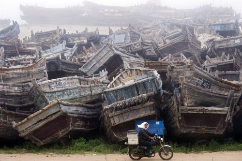 A Chinese fisherwoman rides past old fishing boats on her motorcycle in Qingdao city, Shandong, Chin