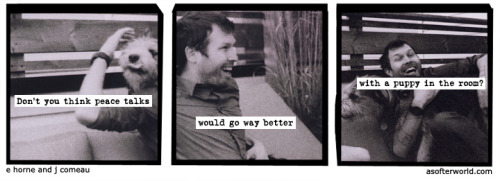 softerworld:  A Softer World: 814 (Maybe two puppies, if you really want peace.) 