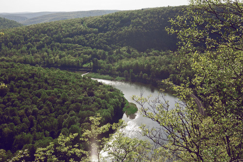 Soaring Eagle campgrounds // Stalker, PA  First camping trip of the year during one of the most perf