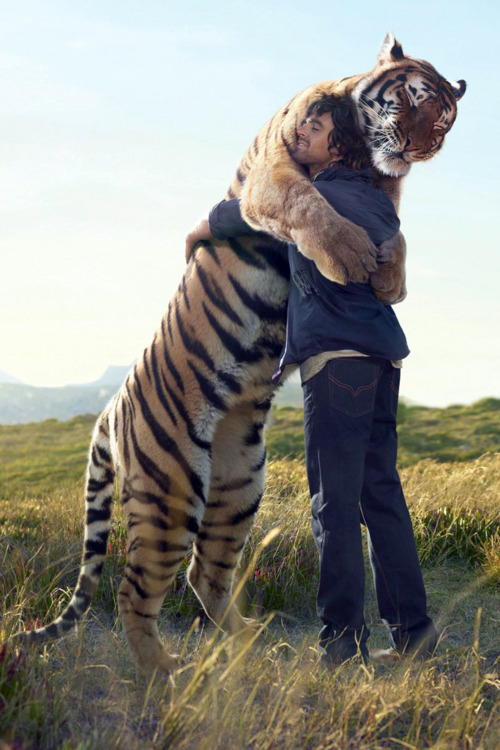 wallflowereden:  variegatedpoise:  I’ve never seen a happier Tiger.  He looks like