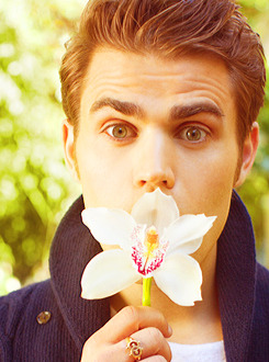 steferine-blog:  paul wesley for the look (may 15, 2012) 