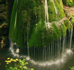 bluepueblo:  Moss Waterfall, Romania photo via tryp 