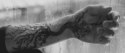 ✰shallow✰