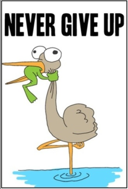 never ever ever give up