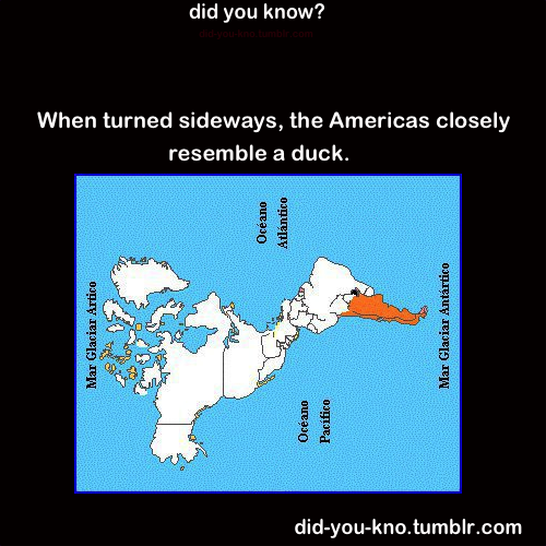 did you know?
