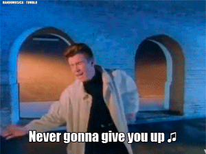 the-absolute-best-gifs:  Follow this blog, you will love it on your dashboard