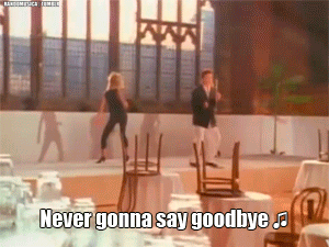 the-absolute-best-gifs:  Follow this blog, you will love it on your dashboard