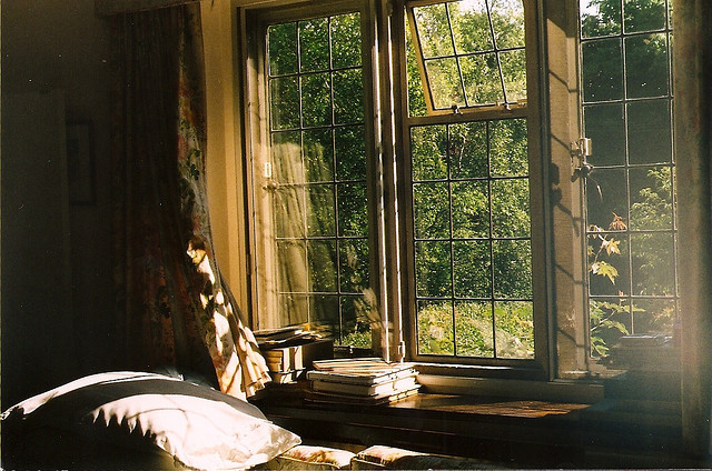 amatoresviridi:  untitled by annabellp on Flickr. 