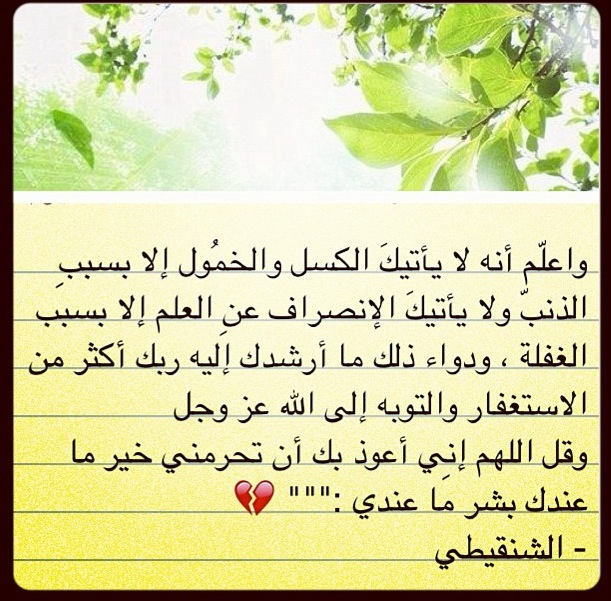 بعضٌ من شتات التفاؤل