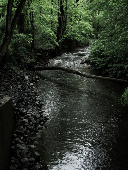 journeymancreativejournal: Creek - Mendham