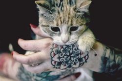 inkedpassions:  <3 