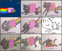 asksnowybreeze:  arshness:  Nyan nyan nyan lawwwwl  omg this 