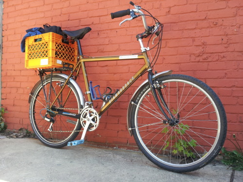 Chris Harne rides a 1997 Diamondback Outlook. With affection, I refer to this bicycle as my Hoopty.