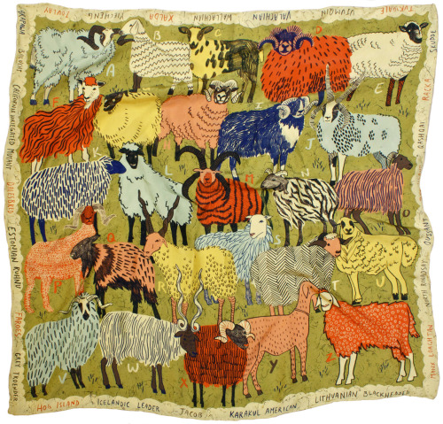 caleblukelinillustration:A-Z of Rare, Wool-production Sheep Breeds-part of a series of silk scarves 
