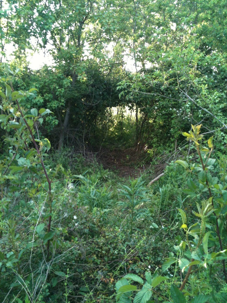 Part of the trail we made hahahaaha