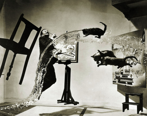 Atomicus (1947) Salvador Dali and cats Photograph by Phillipe Halsman
