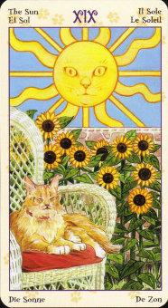 honeydewitch:Tarot of the Pagan cats prt.2