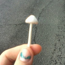 Cute lil mushroom lol (Taken with instagram)