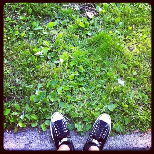 Porn photo Converse at the park. #sneakers #Converse