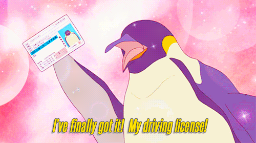 starkinglyhandsome:  someday I will be this penguin 