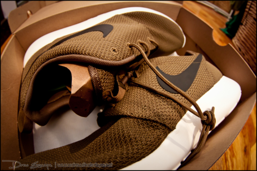 Dopest Iguana Roshe Run pic I’ve seen…courtesy of www.drewthatsdope.net