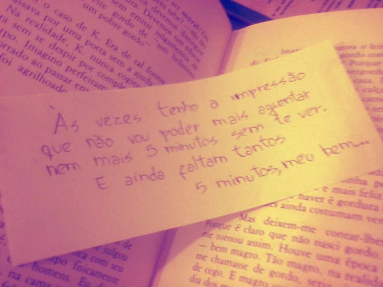  Vinicius de Moraes 