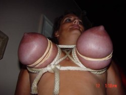 breastbondage.tumblr.com post 23234672531