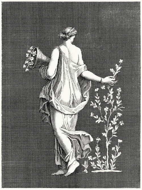 oldbookillustrations: Nymph picking flowers Tommaso Piroli (engraver), from Antiquités d&rsqu
