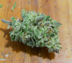 m4rijuana-:  Chernobyl  Nuclear